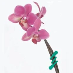 Attaches Flexibles Réutilisables Avec Mousquetons - Lot De 10 16 Attaches Flexibles Réutilisables Avec Mousquetons - Lot De 10 -Le Jardin Parfai attaches flexibles reutilisables avec mousquetons lot de 10 6