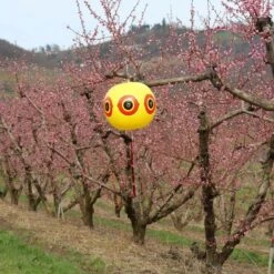 Ballon Effaroucheur D'oiseaux X2 10 Ballon Effaroucheur D'oiseaux X2 -Le Jardin Parfai ballon effaroucheur oiseaux 4