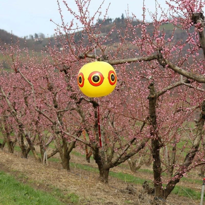 Ballon Effaroucheur D'oiseaux X2 5 Ballon Effaroucheur D'oiseaux X2 - Image 5