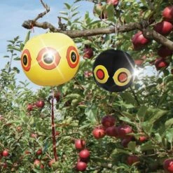 Ballon Effaroucheur D'oiseaux X2 11 Ballon Effaroucheur D'oiseaux X2 -Le Jardin Parfai ballon effaroucheur oiseaux 5