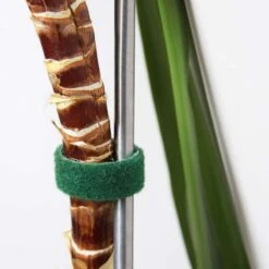 Bande Scratch Agrippante 5 Mètres 6 Bande Scratch Agrippante 5 Mètres -Le Jardin Parfai bande scratch auto agrippante verte grise rouleau 5 metres 2