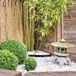 Barrière Anti Rhizome, Racines, Bambous Rouleau De 5 Mètres 9 Barrière Anti Rhizome, Racines, Bambous Rouleau De 5 Mètres -Le Jardin Parfai barriere anti rhizome racine bambou 5 m x 60 cm 800 mg 3