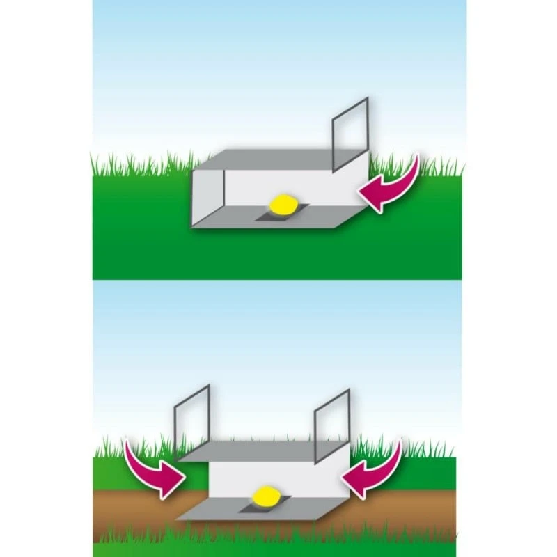 Cage à Nuisibles Double Entrée Grand Modèle 5 Cage à Nuisibles Double Entrée Grand Modèle - Image 5