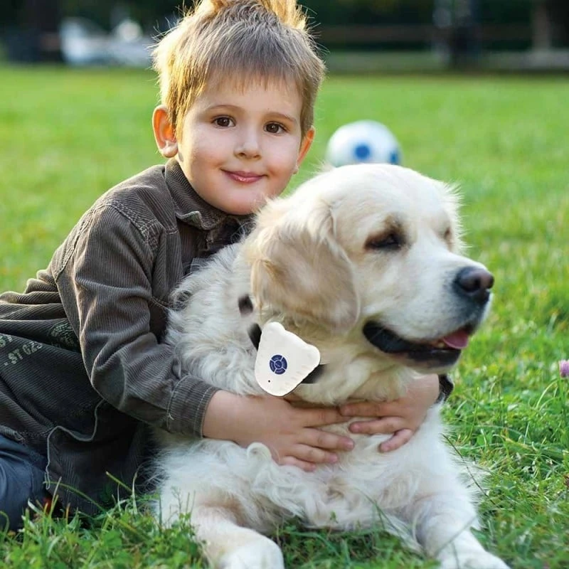 Collier Anti Aboiements à Ultrasons 3 Collier Anti Aboiements à Ultrasons - Image 3