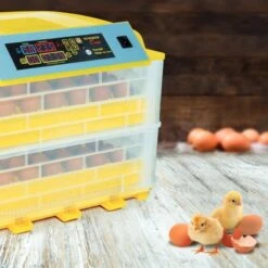 Couveuse Automatique - 112 Oeufs 10 Couveuse Automatique - 112 Oeufs -Le Jardin Parfai couveuse automatique 112 oeufs 4