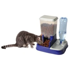 Distributeur De Croquettes Pour Chien Et Chat 11 Distributeur De Croquettes Pour Chien Et Chat -Le Jardin Parfai distributeur de croquettes chien chat 5