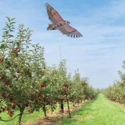 Effaroucheur D'oiseaux Cerf Volant Faucon 18 Effaroucheur D'oiseaux Cerf Volant Faucon -Le Jardin Parfai epouvantail effaroucheur d oiseaux cerf volant 8
