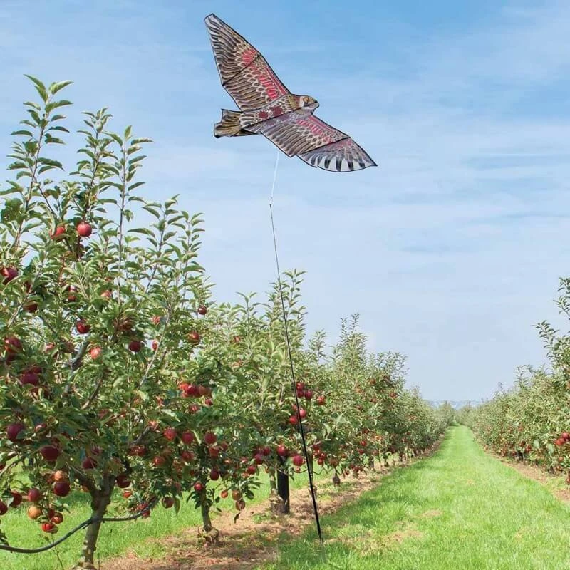 Effaroucheur D'oiseaux Cerf Volant Faucon 9 Effaroucheur D'oiseaux Cerf Volant Faucon - Image 9