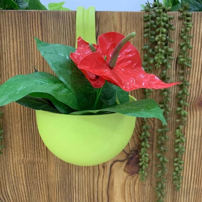 Pot De Fleur à Accrocher 9 Pot De Fleur à Accrocher - Image 9