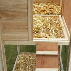 Poulailler Bois Avec Pondoir 14 Poulailler Bois Avec Pondoir -Le Jardin Parfai poulailler bois avec pondoir 172 x 110 x 64 cm 5