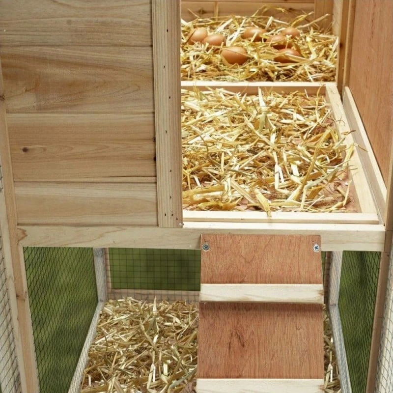 Poulailler Bois Avec Pondoir 6 Poulailler Bois Avec Pondoir - Image 6