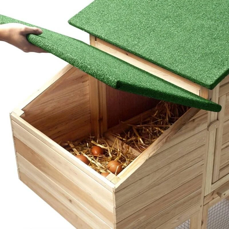 Poulailler Bois Avec Pondoir 8 Poulailler Bois Avec Pondoir - Image 8