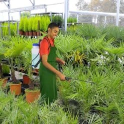 Pulvérisateur à Dos 12 Litres 6 Pulvérisateur à Dos 12 Litres -Le Jardin Parfai pulverisateur a dos 12 litres 2