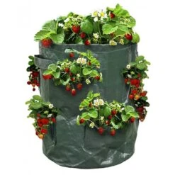 Sac Ă Fraisiers - Sac De Plantation Pour Fraises - X2