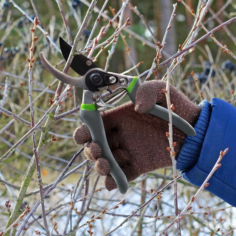 Sécateur De Jardin Avec Lame Franche En Acier Carbone 4 Sécateur De Jardin Avec Lame Franche En Acier Carbone - Image 4