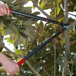 Kit Sécateur Télescopique, Taille Haie Et Sécateur à Main 11 Kit Sécateur Télescopique, Taille Haie Et Sécateur à Main -Le Jardin Parfai secateur telescopique taille haie secateur a main kit de jardinage complet 4