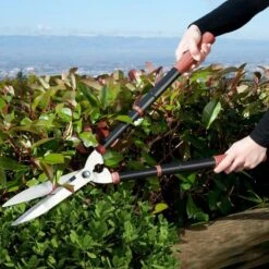 Kit Sécateur Télescopique, Taille Haie Et Sécateur à Main 12 Kit Sécateur Télescopique, Taille Haie Et Sécateur à Main -Le Jardin Parfai secateur telescopique taille haie secateur a main kit de jardinage complet 5