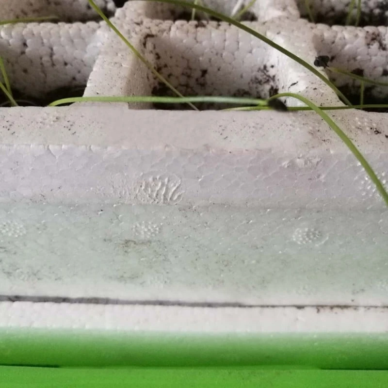 Kit De Germination Pour Semis 9 Kit De Germination Pour Semis - Image 9