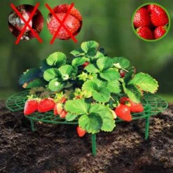 Support Fraisier - Lot De 5 12 Support Fraisier - Lot De 5 -Le Jardin Parfai support fraisier 5