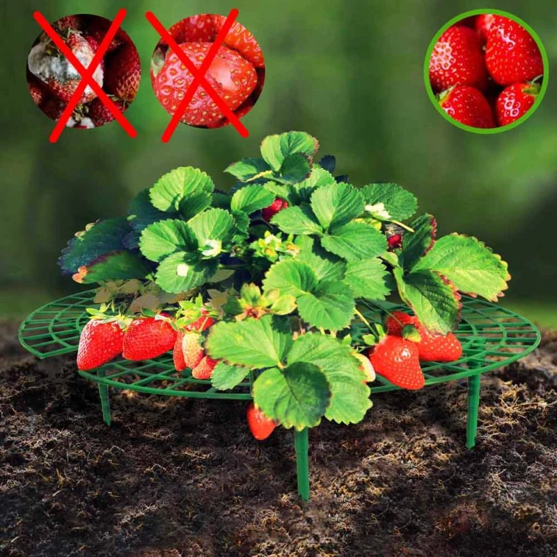 Support Fraisier - Lot De 5 6 Support Fraisier - Lot De 5 - Image 6