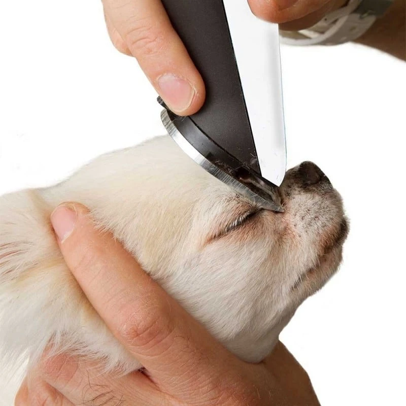 Tondeuse Pour Chien 3 Tondeuse Pour Chien - Image 3