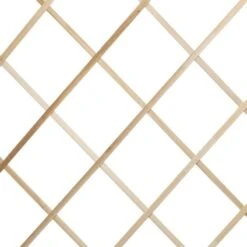 Treillis En Bois Pour Plantes Grimpantes