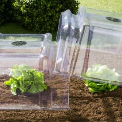 Lot De 30 Tunnels De Forçage Transparents De 86cm 10 Lot De 30 Tunnels De Forçage Transparents De 86cm -Le Jardin Parfai tunnel de forcage rigide transparent x30 3