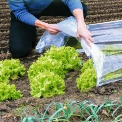 Tunnel De Forçage Accordéon Souple 4 Mètres 6 Tunnel De Forçage Accordéon Souple 4 Mètres -Le Jardin Parfai tunnel forcage accordeon transparent souple 4m 2