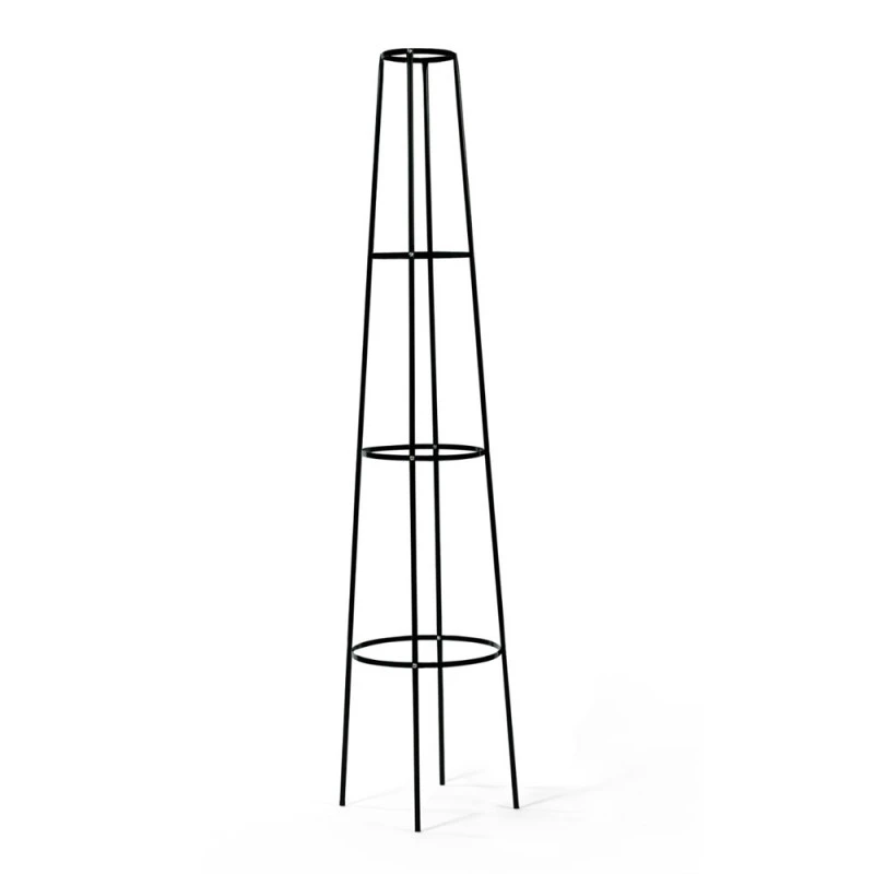 Tuteur Rosier Grimpant Obélisque "romana" 1 Tuteur Rosier Grimpant Obélisque "romana"