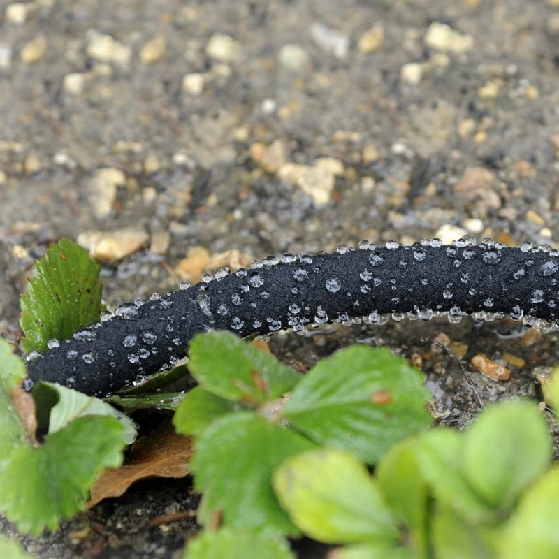 Tuyau D'arrosage Poreux 12 M 3 Tuyau D'arrosage Poreux 12 M - Image 3