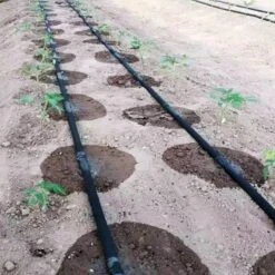 Tuyau Goutte à Goutte - 300 M 7 Tuyau Goutte à Goutte - 300 M -Le Jardin Parfai tuyau goutte a goutte 300 m 3