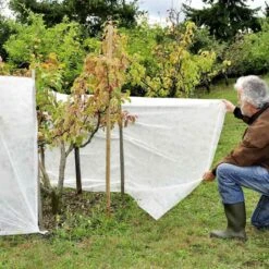 Voile D'hivernage / Forçage 1.5 X 5 M 11 Voile D'hivernage / Forçage 1.5 X 5 M -Le Jardin Parfai voile d hivernage 15 x 5 m 4